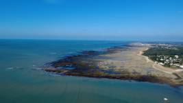 Sébastien MAUPAS - SEBASTIEN MAUPAS PHOTOGRAPHY